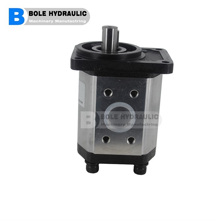 PARKER PGM PGM511 PGM502 PGM505 Series Hydraulic Gear Pump PGM511B0220BL1D3VE3E3B1B1B1 PGM511C0190CS8F4NJ5J7B1B1G3
